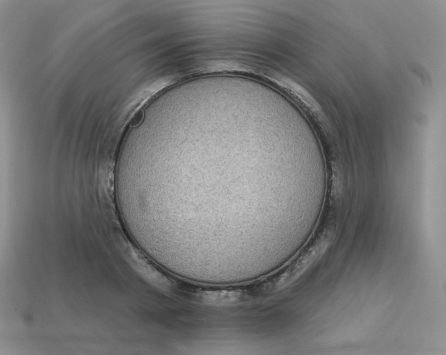 X0000113280793200910131004