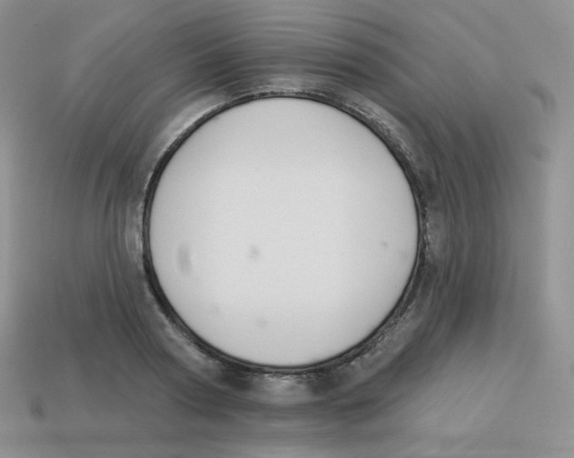 X0000113280794200910131004