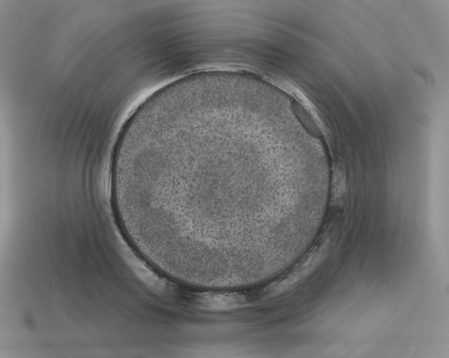 X0000113280795200910131004