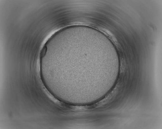 X0000113280796200910131004