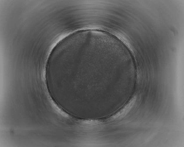 X0000113280797200910131004