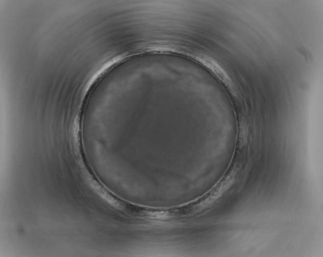 X0000113280798200910131004