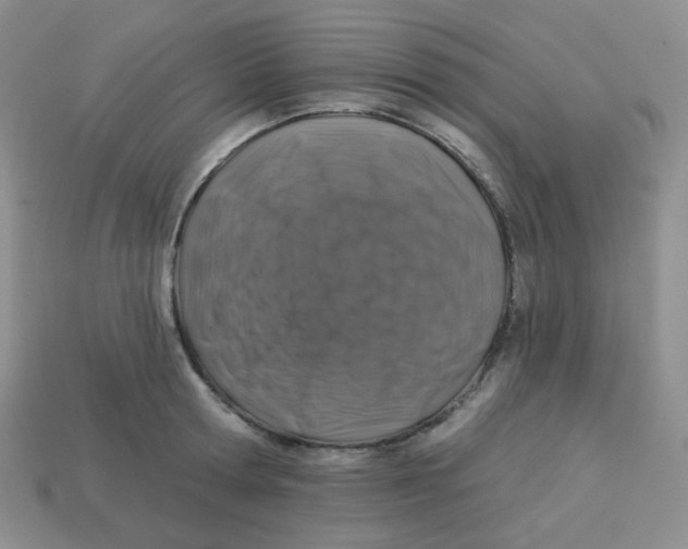 X0000113280802200910131004