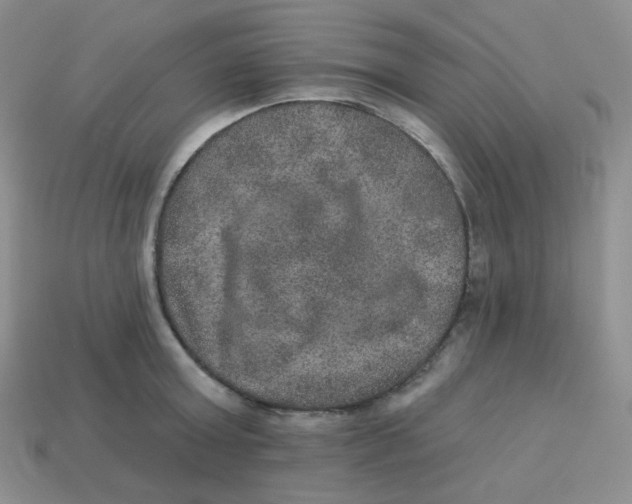 X0000113280803200910131004