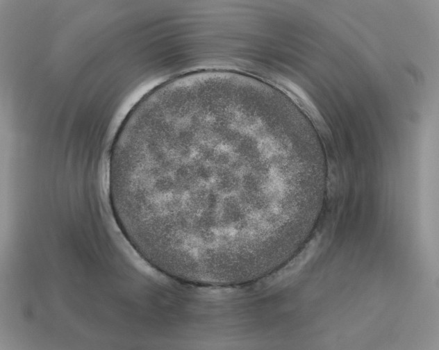 X0000113280804200910131004