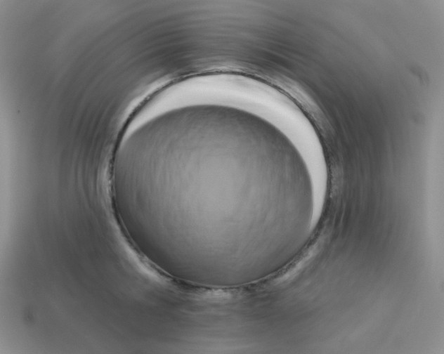 X0000113280806200910131004