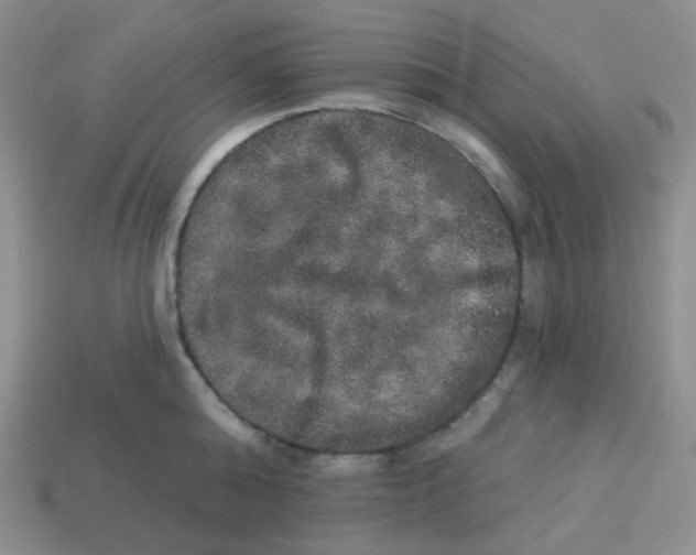 X0000113280808200910131004