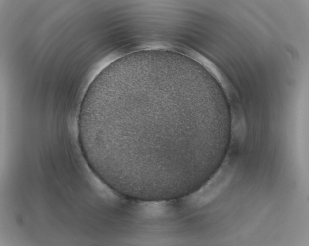 X0000113280810200910131004