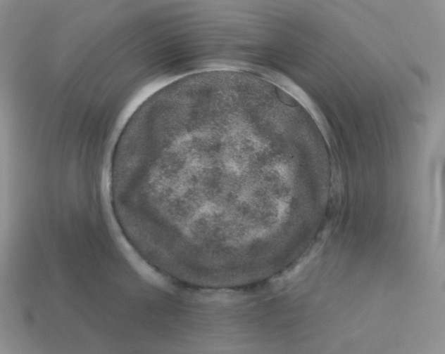 X0000113280811200910131004