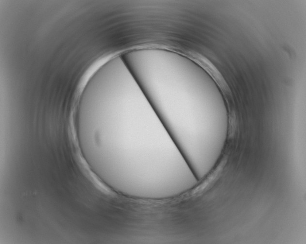 X0000113280812200910131003