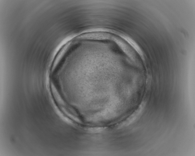 X0000113280813200910131003