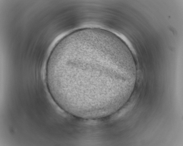 X0000113280815200910131003