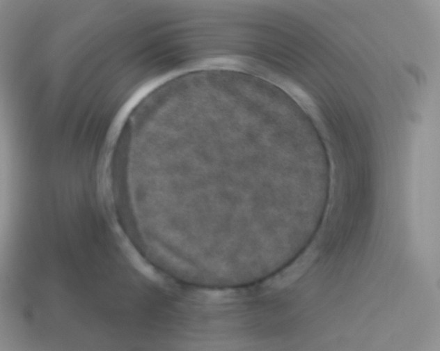 X0000113280816200910131003