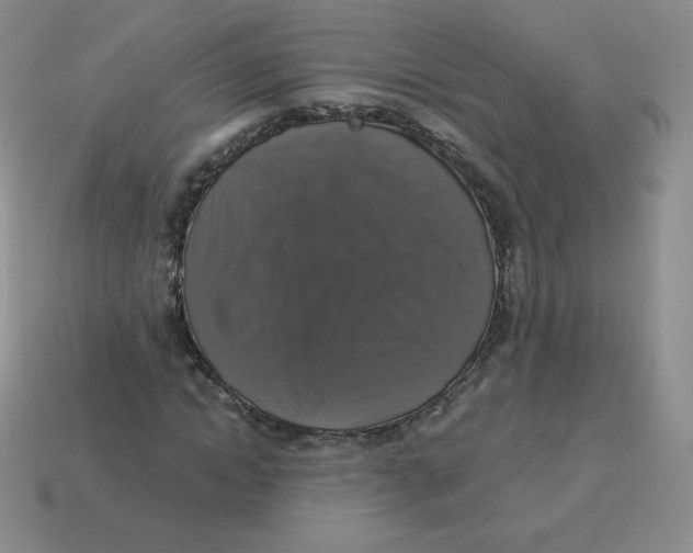 X0000113280822200910131003