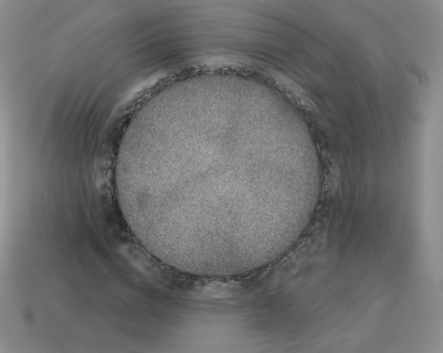 X0000113280824200910131003