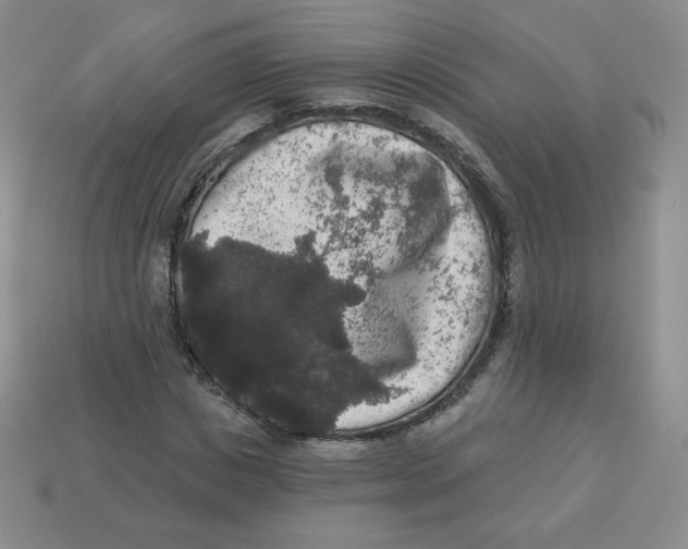 X0000113280825200910131003