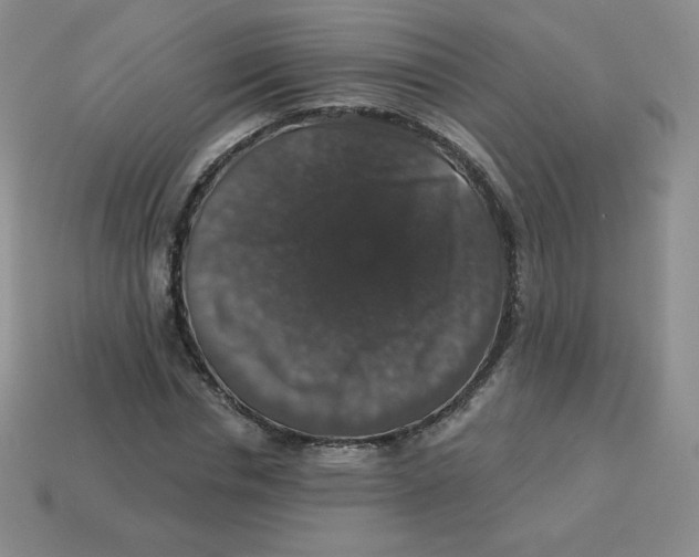 X0000113280826200910131003