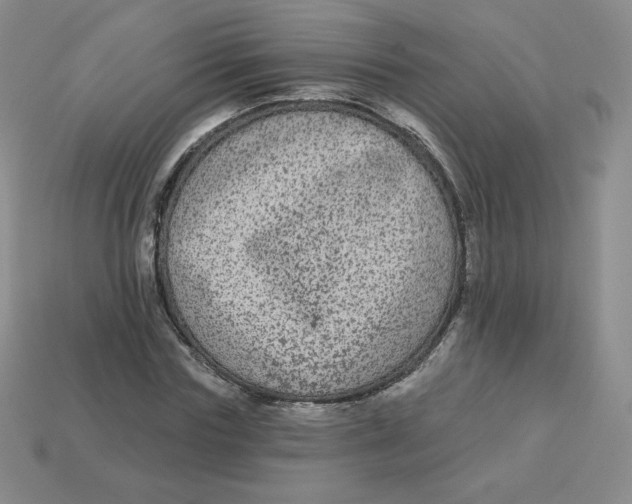 X0000113280827200910131003