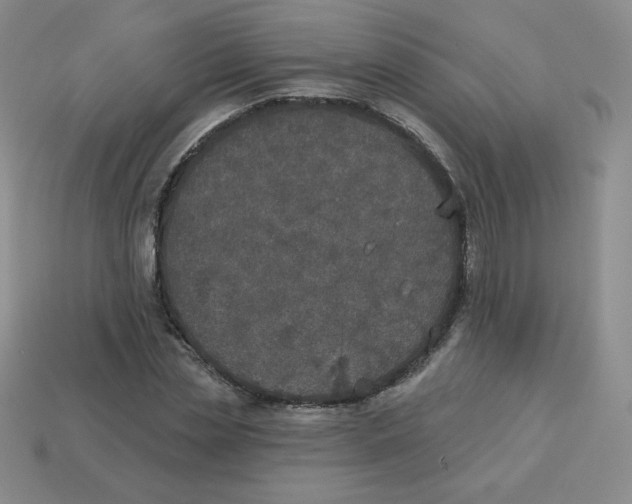 X0000113280829200910131003