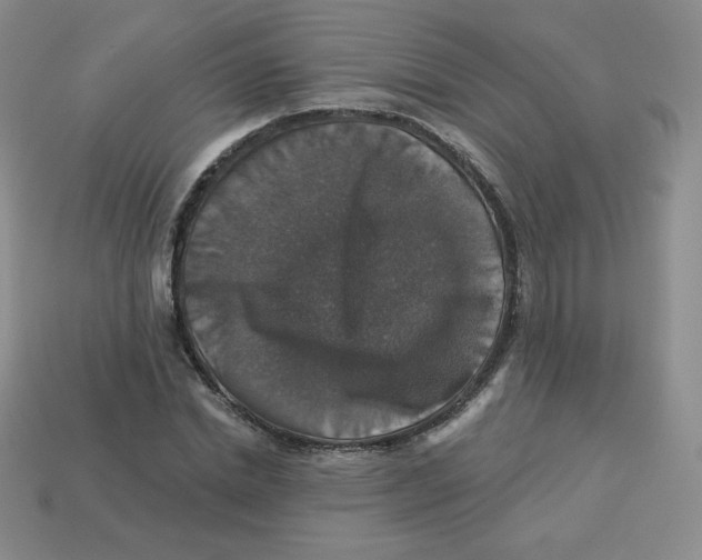 X0000113280830200910131003