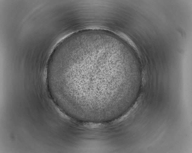 X0000113280831200910131003