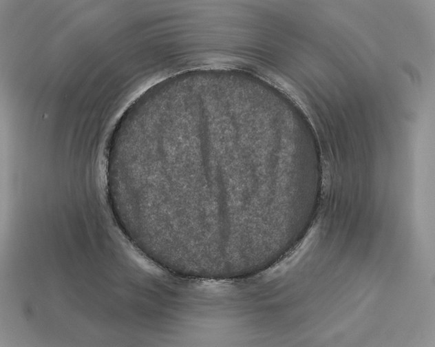 X0000113280835200910131003