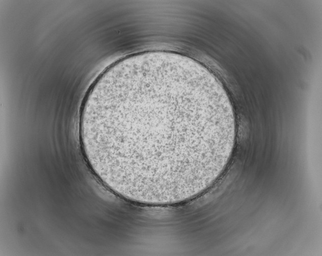 X0000113280836200910131003