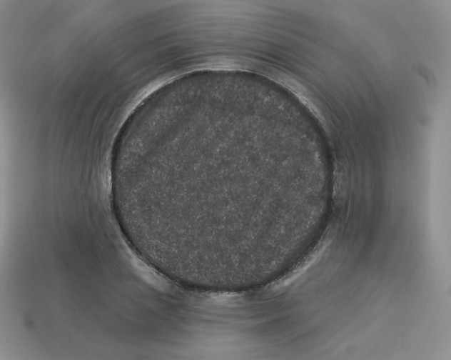 X0000113280837200910131003