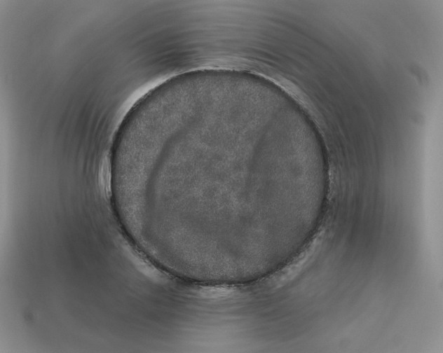 X0000113280838200910131003