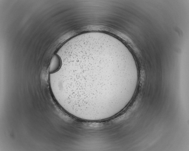 X0000113280841200910131003