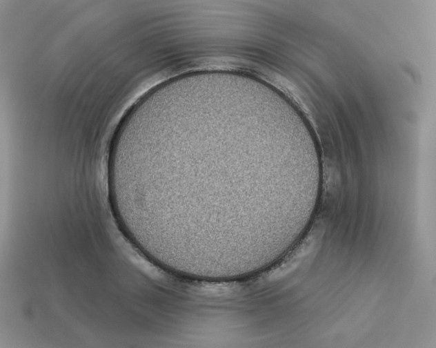 X0000113280843200910131003