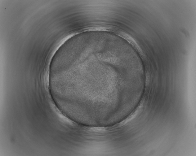 X0000113280844200910131003
