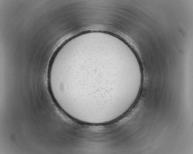 X0000113280845200910131003
