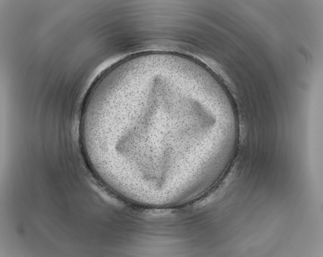 X0000113280846200910131003