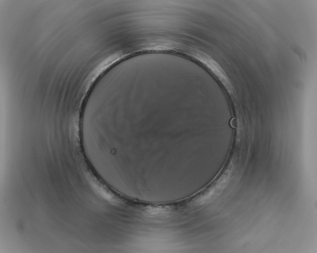 X0000113280850200910131003