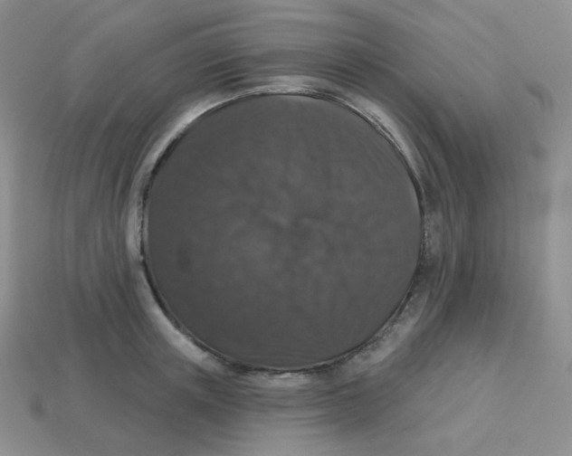 X0000113280851200910131003
