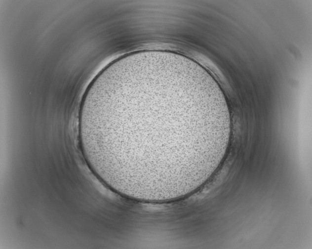 X0000113280852200910131003