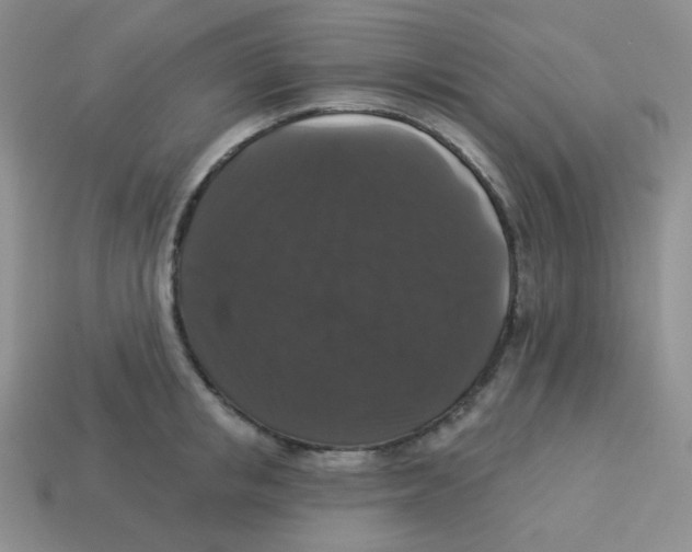 X0000113280853200910131003