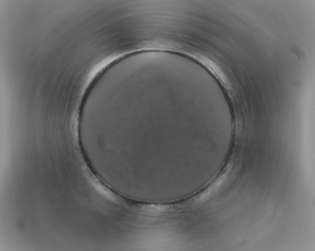 X0000113280854200910131003