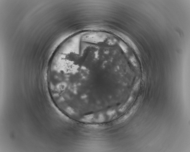 X0000113280855200910131003