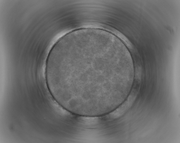 X0000113280856200910131003