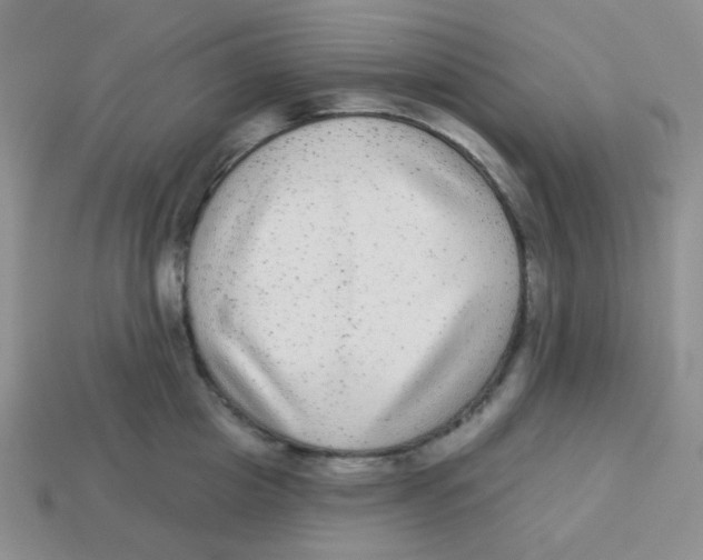 X0000113280857200910131003
