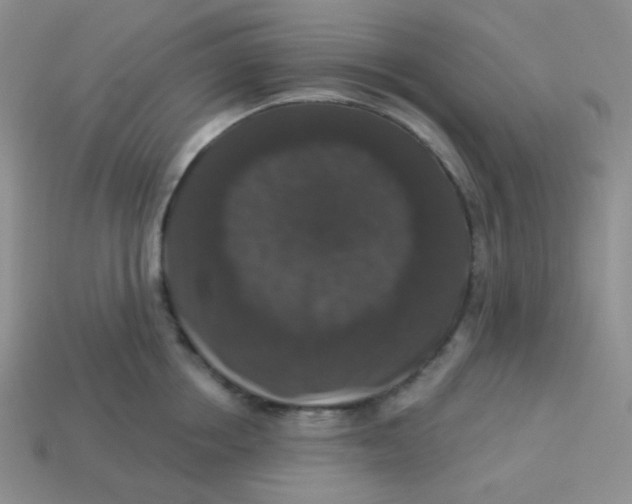 X0000113280858200910131003