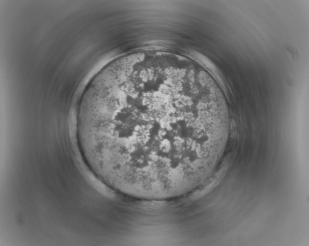X0000113280859200910131003