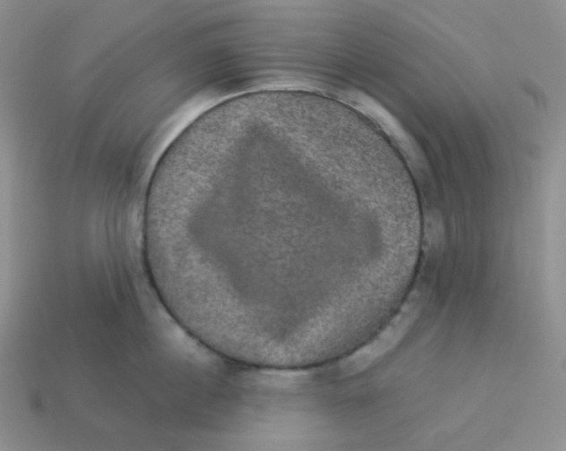 X0000113280860200910131003