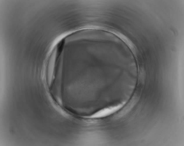 X0000113280862200910131003