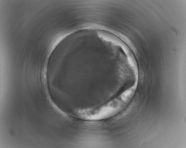 X0000113280863200910131003