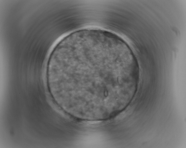 X0000113280864200910131003