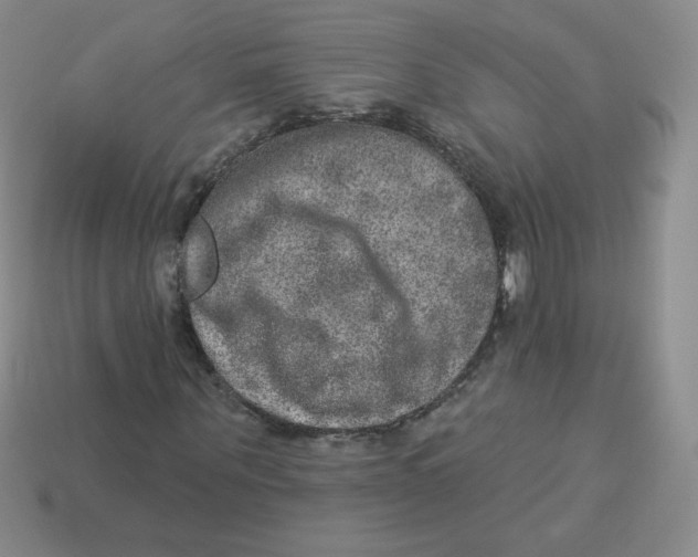 X0000113280867200910131003