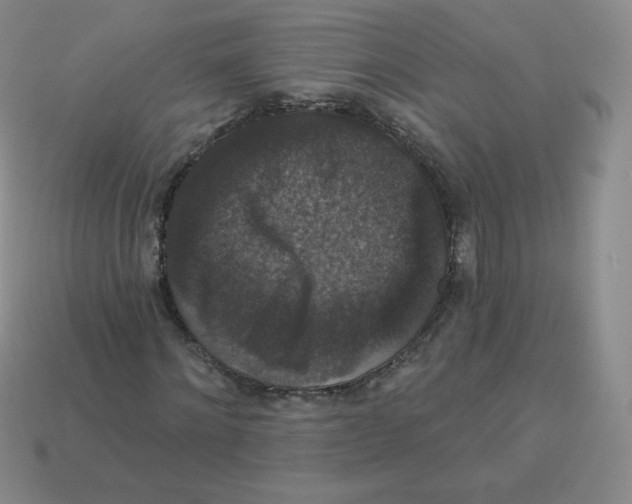 X0000113280868200910131003